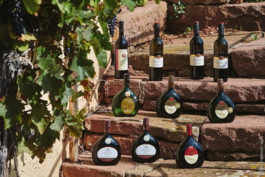 Weintasting mit Livemusik