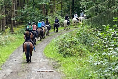 Reitfreizeit für Teenager (Mädchen)