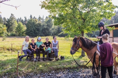 Reitfreizeit II für Mädchen (Teenager)