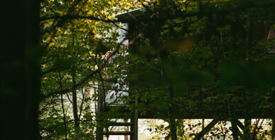 Baumhauscamp - Schulung für Mitarbeitende