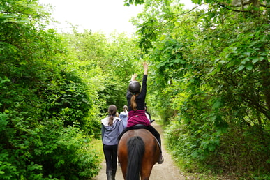 Reitfreizeit für Teenager (Mädchen) 