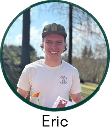 worttransport profile einzeln