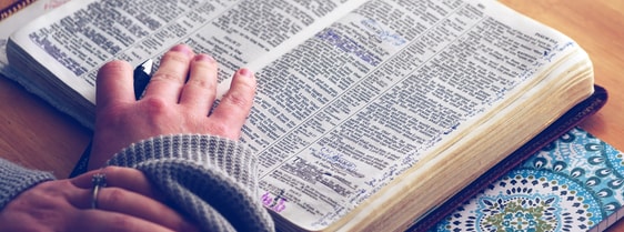 Bibel TheoBasis Unsplash