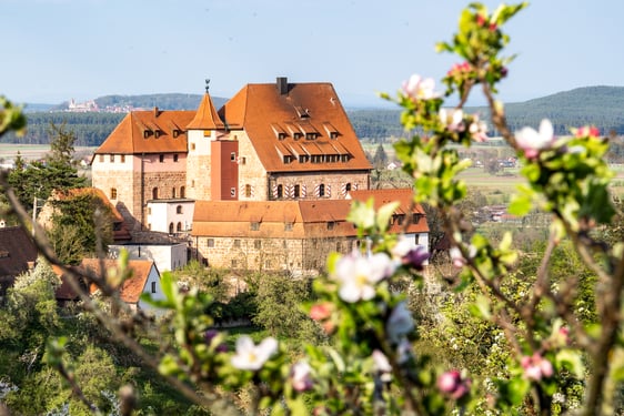 Unsere Burg und die Jugendherberge in Gunzenhausen werden ab dem 30.5. wieder geöffnet!