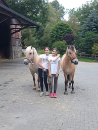 Reitfreizeit für Mädchen (Teens)