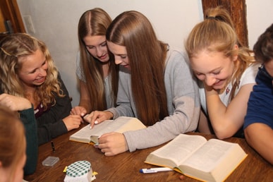 BASIS Schulung