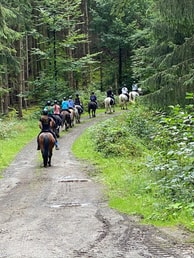 Reitfreizeit für Teenager (Mädchen)